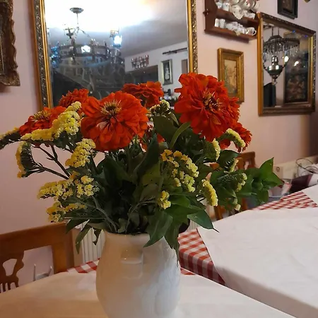 Panzio Anett Bed & Breakfast