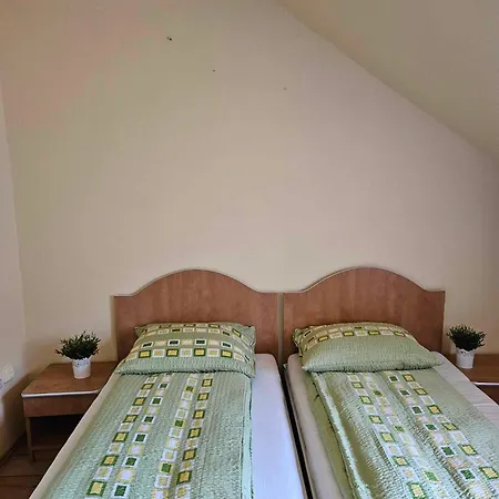 Bed & Breakfast Panzio Anett Pietroasa (Bihor)
